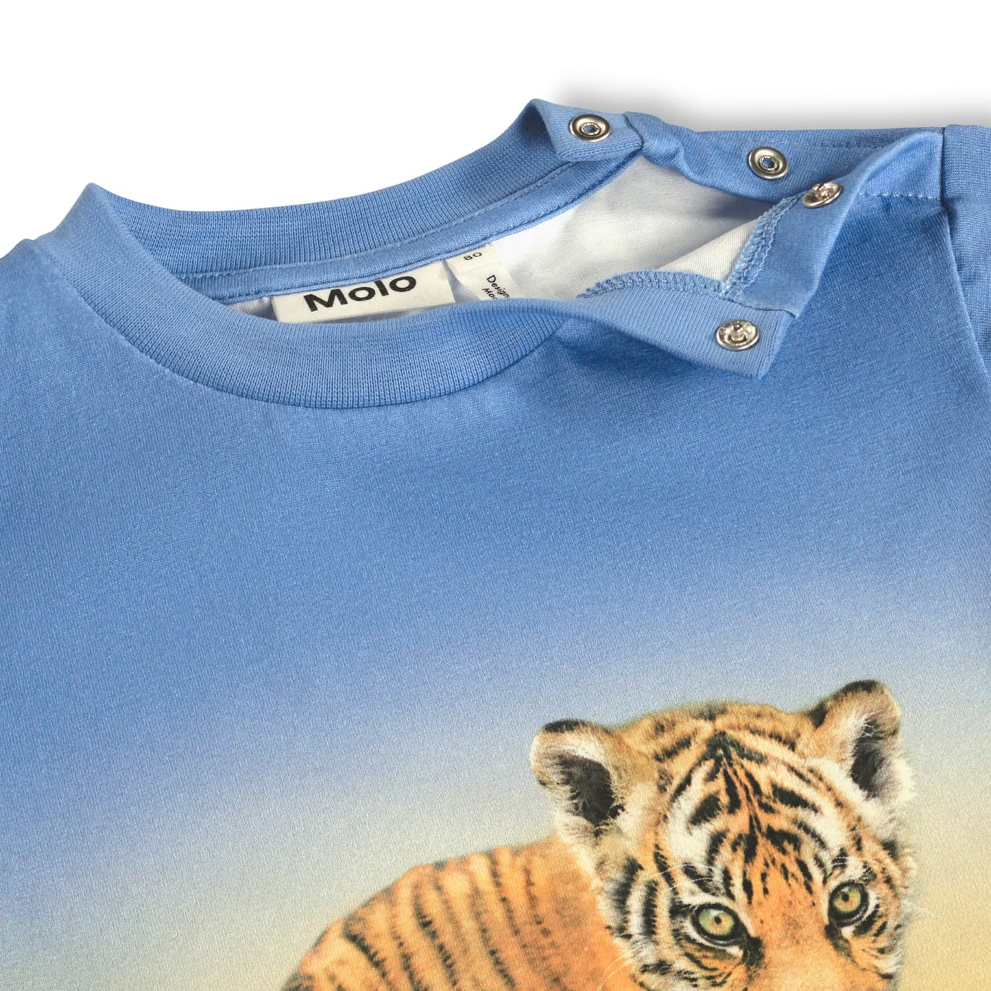 Molo Enzo